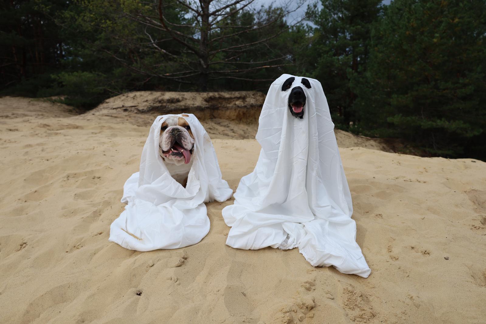 halloweenske masky LiLO a Raduz